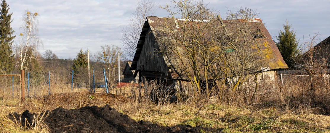 Собственников дач обяжут освоить участки к 2028 году