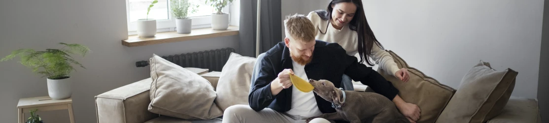 Снимать или купить однушку в Екатеринбурге в 2026 году?